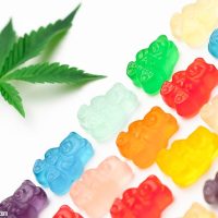 Choosing CBD Gummies That Match Your Wellness Goals and Lifestyle Needs