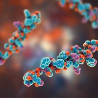 Analytical Grade HGH Peptides Promoting Reliable Experimental Research Consistency